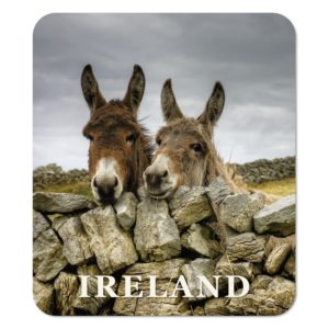 Donkeys and Dry Stone Wall Coaster