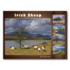 Irish Sheep Placemats